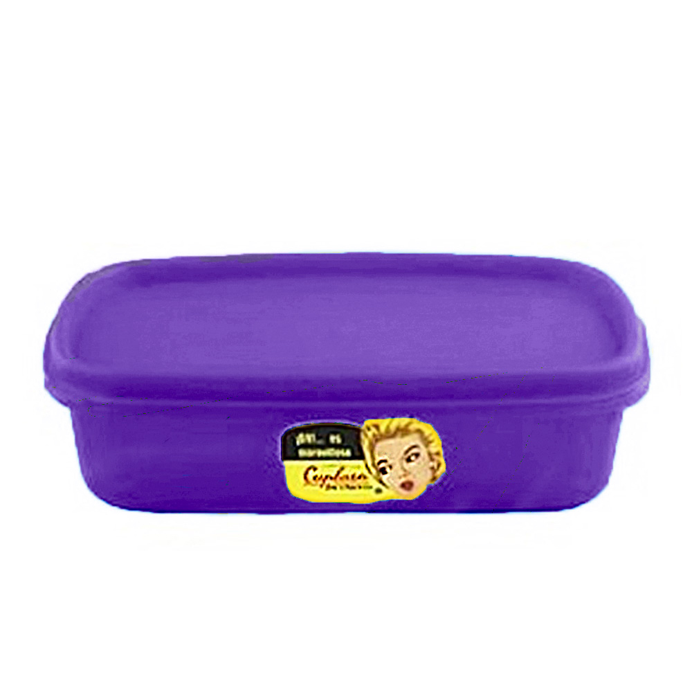 HERMETICO RECT CH MORADO 